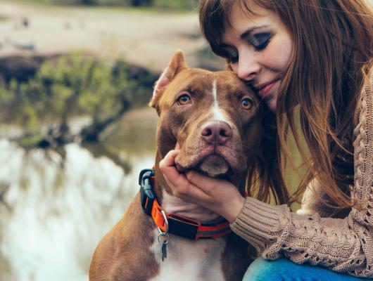 4 zdravé oleje, které zlepší vašemu pejskovi srst, srdce, imunitu a paměť