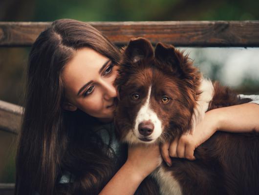 Váháte? 5 důvodů, proč si pořídit psa