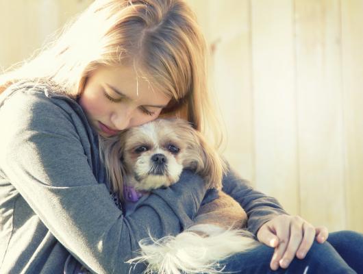 Falešná březost. Fenky postihuje celkem často, co v takovém případě dělat?