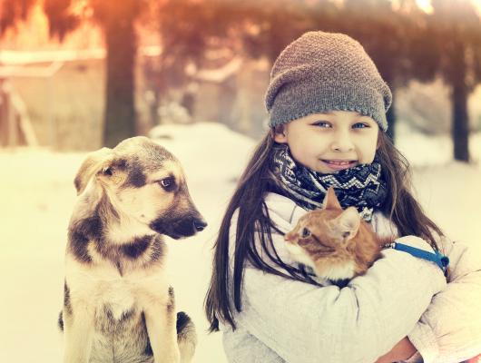 Na psí a kočičí nervy pomáhá klidný přístup, psycholog nebo přírodní veterinární přípravky