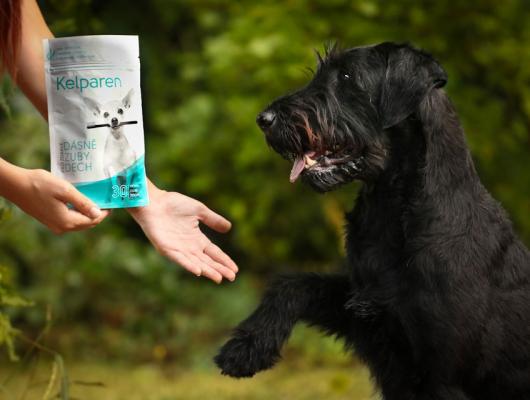 Aktivní zvíře je specialista na kloubní a dentální výživu s kyselinou hyalorunovou pro psy