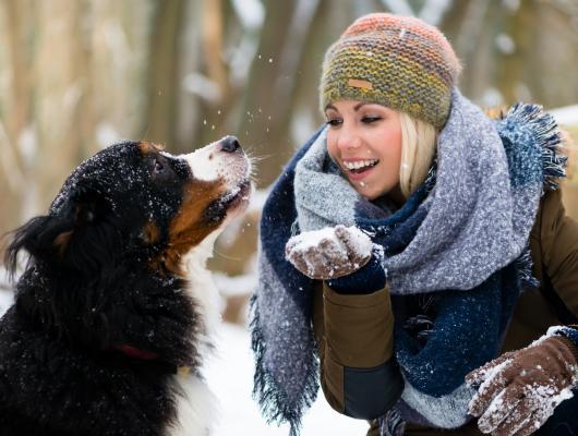Proč chránit psa a kočku proti blechám i v zimě? Vývojový cyklus blechy je klíčem k odpovědi
