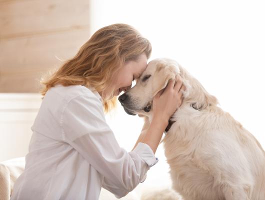 Jak pečovat o starého psa: změňte mu pohybový režim, stravu a víc si s ním hrajte
