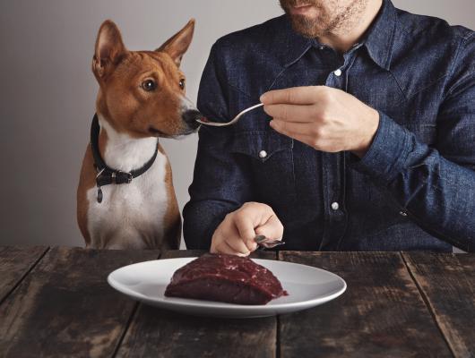 Barfování a krmení psa je o zdravém selském rozumu, říká veterinář Milan Štourač